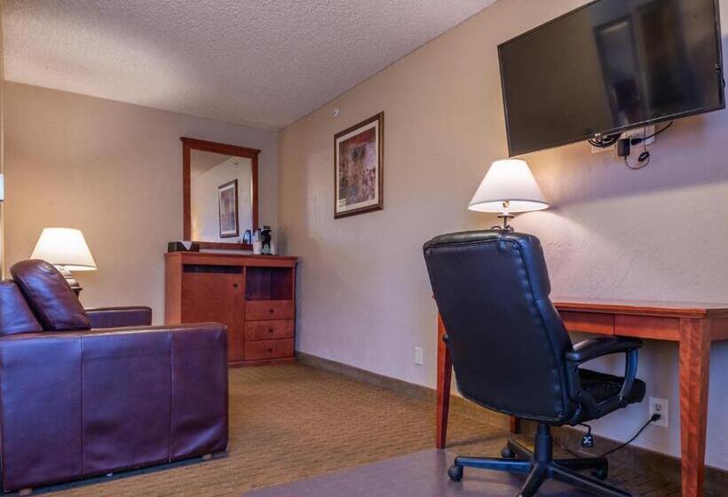 חדר סטנדרט מותאם לאדם עם מוגבלויות, Best Western Vista Inn At The Airport