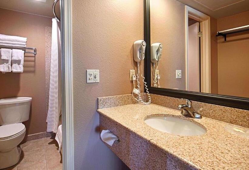 חדר סטנדרט מותאם לאדם עם מוגבלויות, Best Western Vista Inn At The Airport