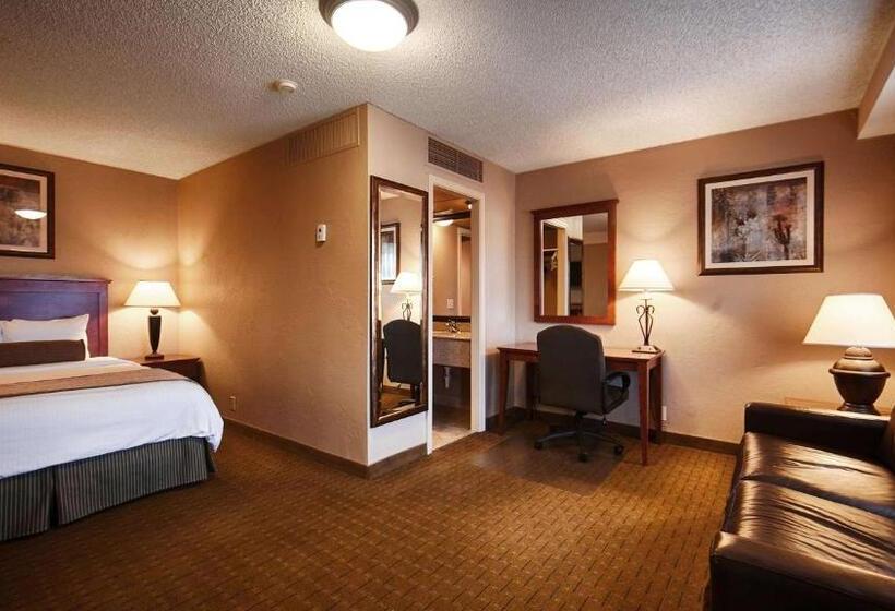 اتاق استاندارد برای معلولان, Best Western Vista Inn At The Airport