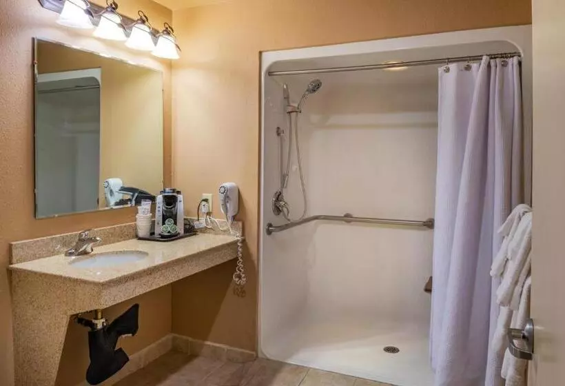 身障者適用キングサイズベッドルーム, Best Western Vista Inn At The Airport