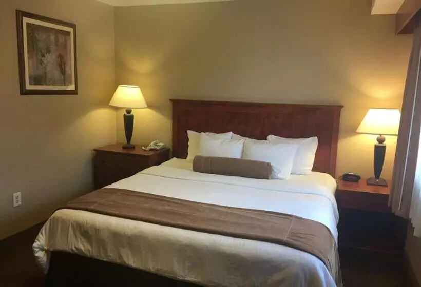 身障者適用キングサイズベッドルーム, Best Western Vista Inn At The Airport