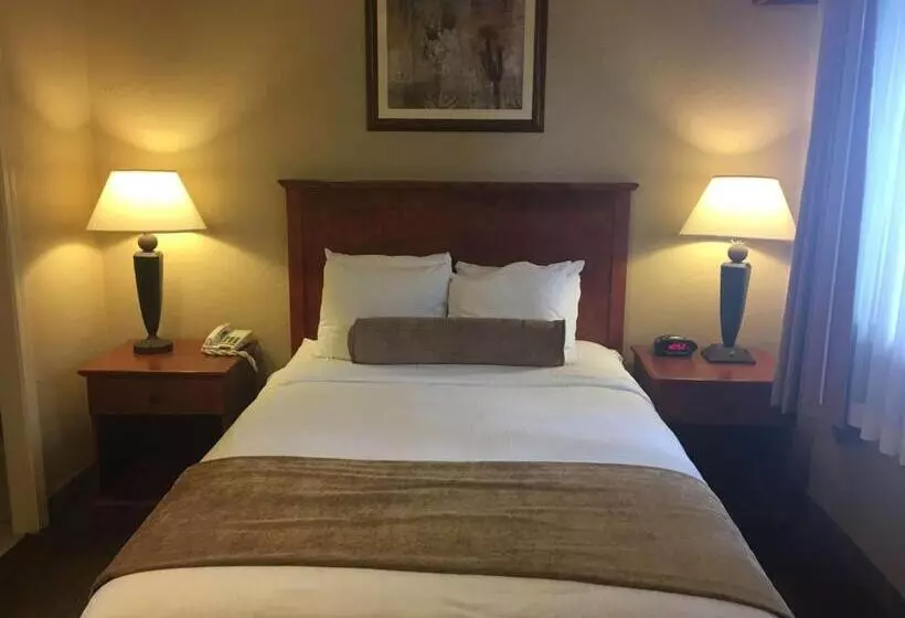 キングサイズベッドのスタンダードルーム, Best Western Vista Inn At The Airport
