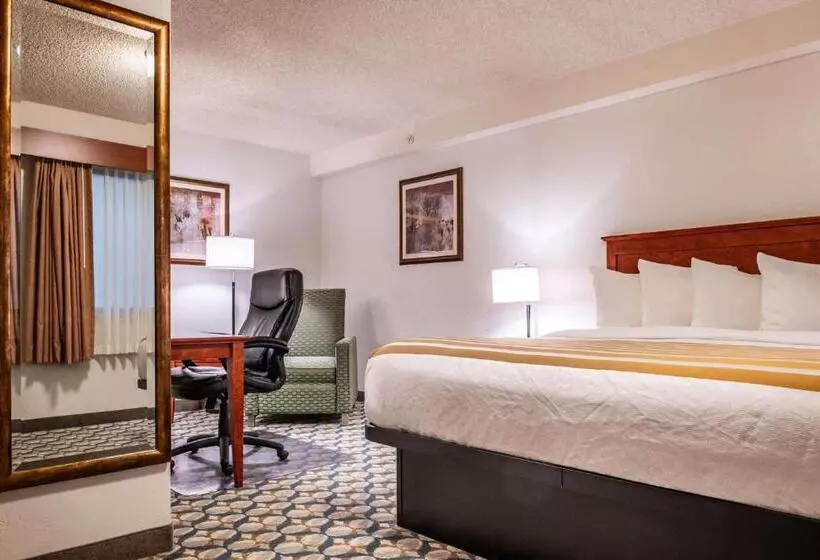 キングサイズベッドのスタンダードルーム, Best Western Vista Inn At The Airport