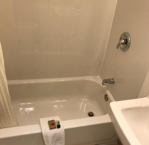 اتاق استاندارد, Canyonlands Motor Inn