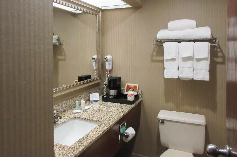 キングサイズベッドのスイートルーム, Clarion Inn & Suites   University Area