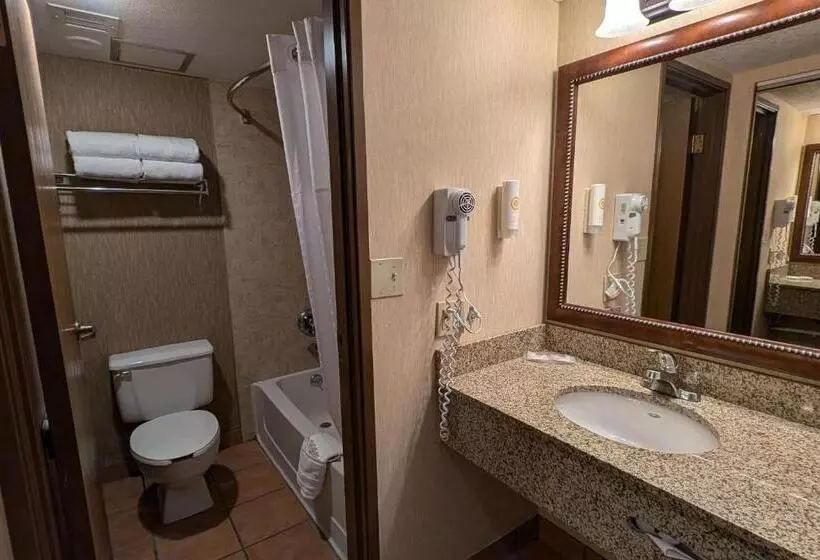スタンダードルーム, Comfort Inn Near Vail Beaver Creek