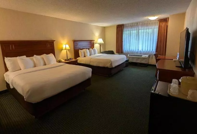 スタンダードルーム, Comfort Inn Near Vail Beaver Creek