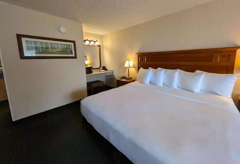 キングサイズベッドのスタンダードルーム, Comfort Inn Near Vail Beaver Creek