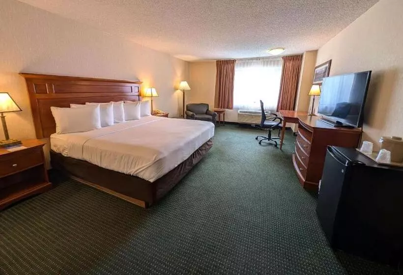 キングサイズベッドのスタンダードルーム, Comfort Inn Near Vail Beaver Creek