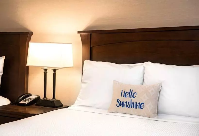 身障者適用スタンダードルーム, Days Inn By Wyndham San Diego Hotel Circle