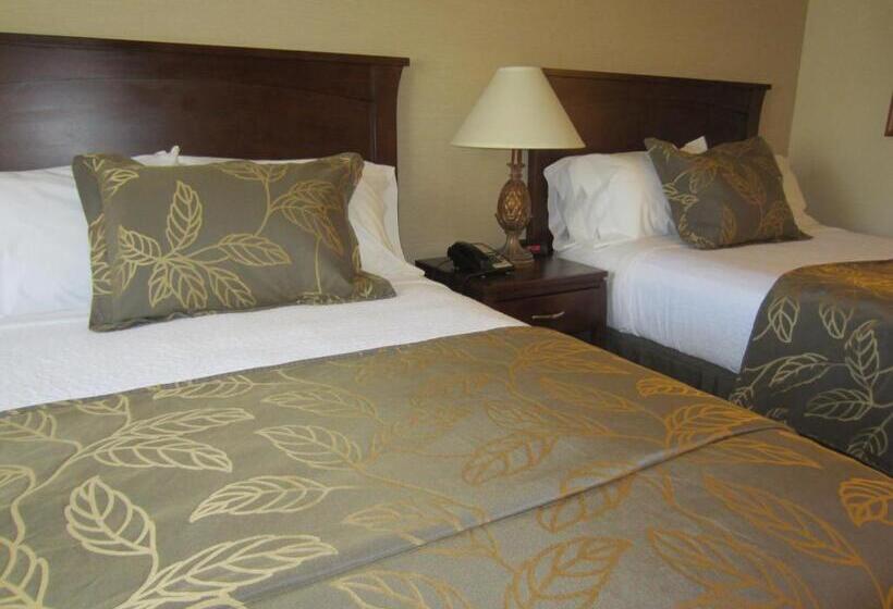 Номер Стандарт Адаптированный для Инвалидов, Days Inn By Wyndham San Diego Hotel Circle