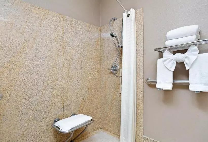 اتاق لوکس با تخت بزرگ, Days Inn By Wyndham West Covina