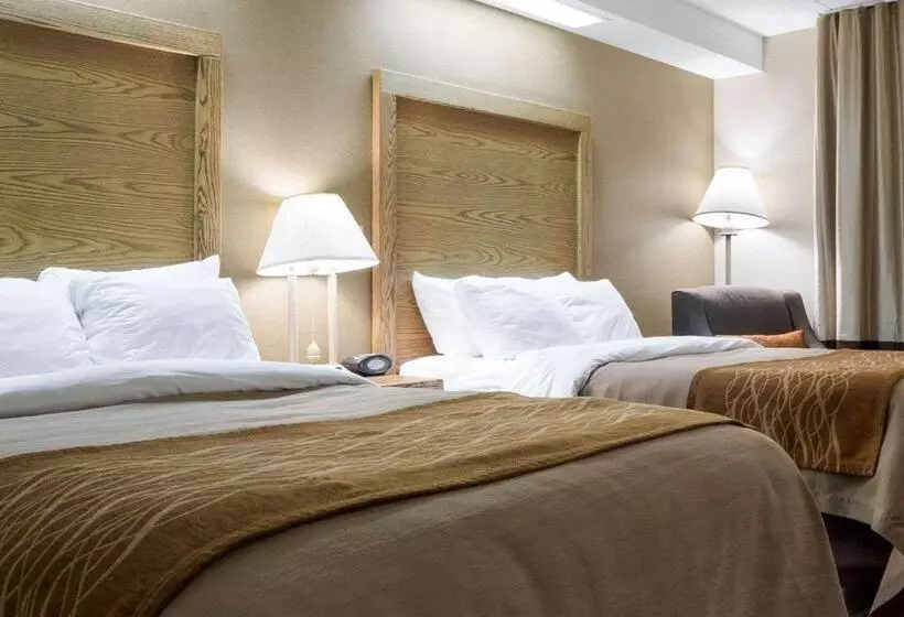 اتاق استاندارد با 2 تخت دوبل, Quality Inn Bismarck I 94