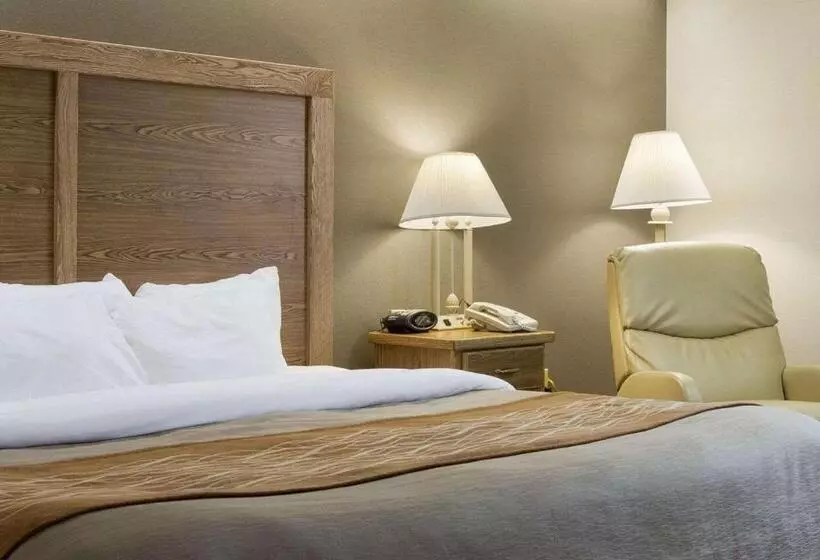 اتاق استاندارد با تخت بزرگ, Quality Inn Bismarck I 94