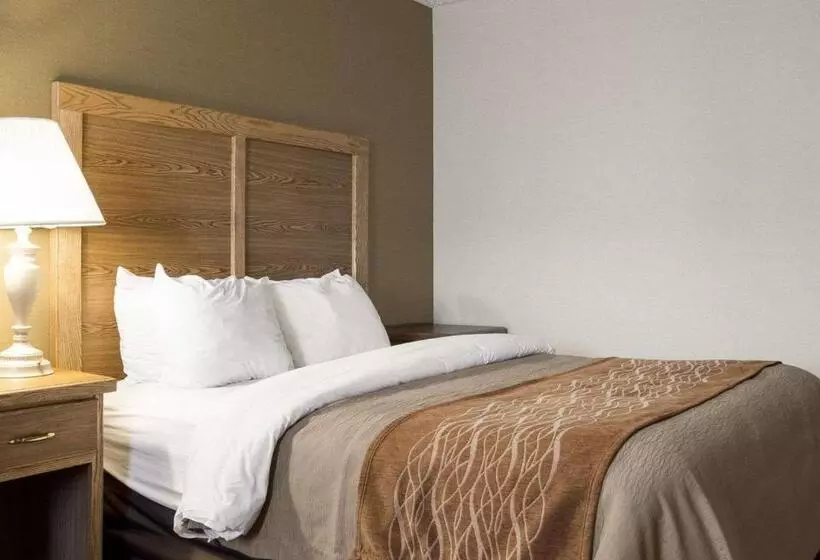 اتاق استاندارد با تخت بزرگ, Quality Inn Bismarck I 94