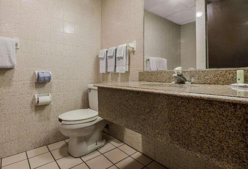 Номер Стандарт, Quality Inn & Suites Binghamton Vestal