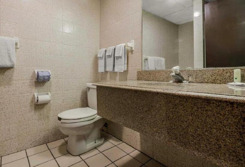 Люкс, Quality Inn & Suites Binghamton Vestal
