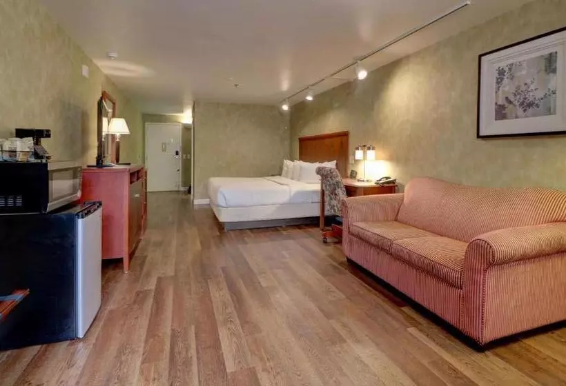 اتاق لوکس با تخت بزرگ, Senator Inn & Spa