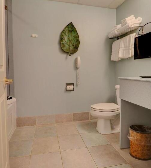 جناح سرير كينج, Senator Inn & Spa