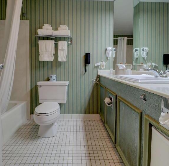 غرفة ديلوكس, Senator Inn & Spa