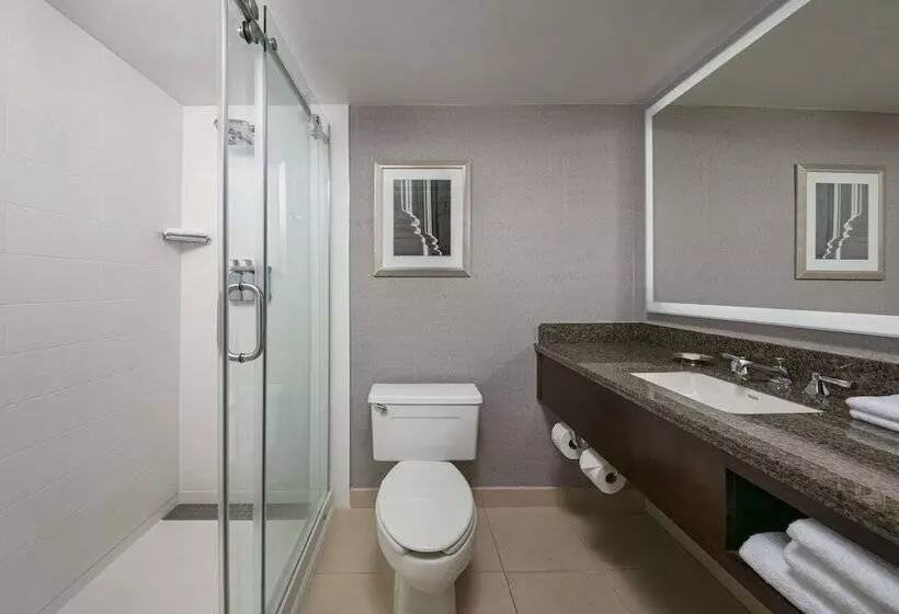 سوییت, Sonesta Charlotte Lower South End