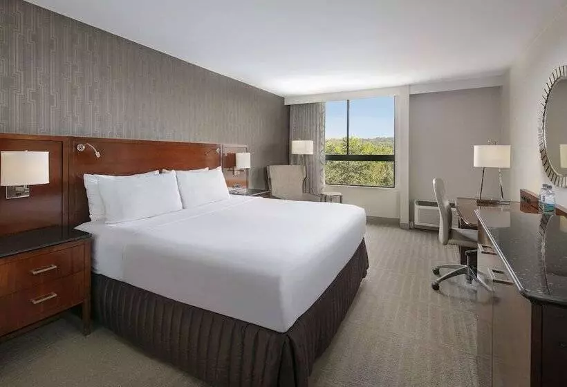 سوییت, Sonesta Charlotte Lower South End