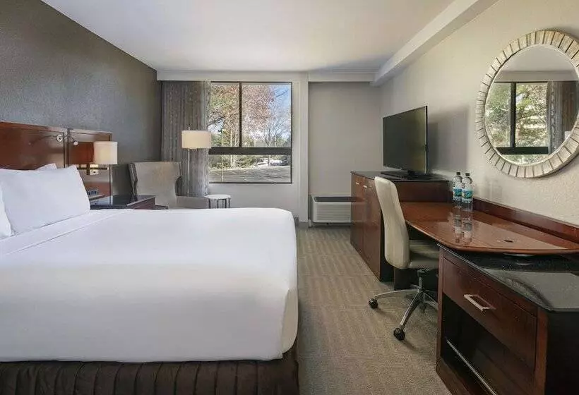 اتاق لوکس, Sonesta Charlotte Lower South End