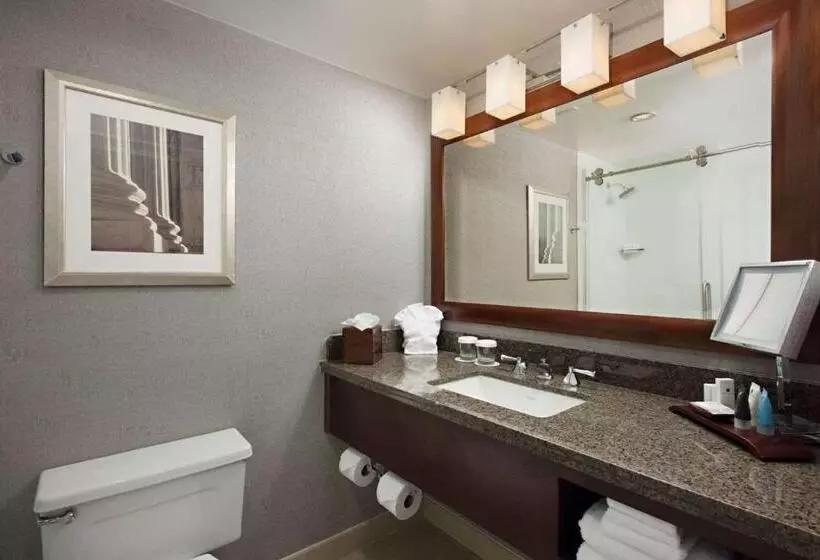 اتاق اجرایی با تخت بزرگ, Sonesta Charlotte Lower South End