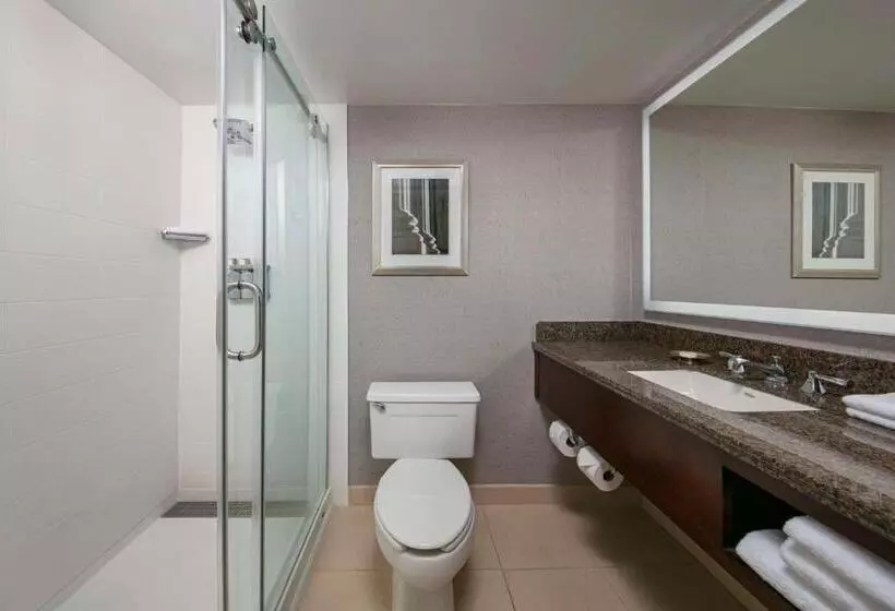 اتاق لوکس با تخت بزرگ, Sonesta Charlotte Lower South End