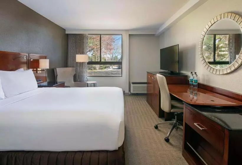 اتاق لوکس با تخت بزرگ, Sonesta Charlotte Lower South End