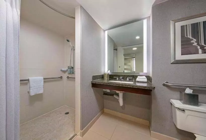 اتاق دلوکس مخصوص معلولین, Sonesta Charlotte Lower South End