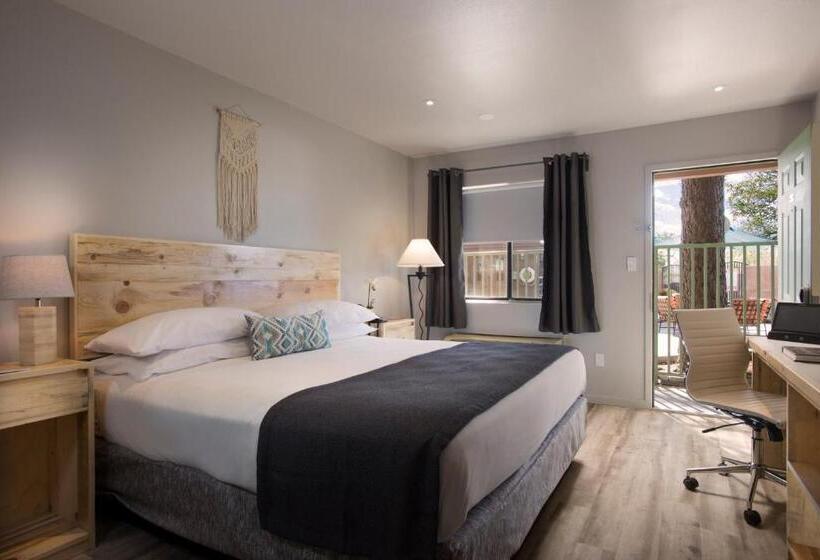 带大床的标准间, The Sage