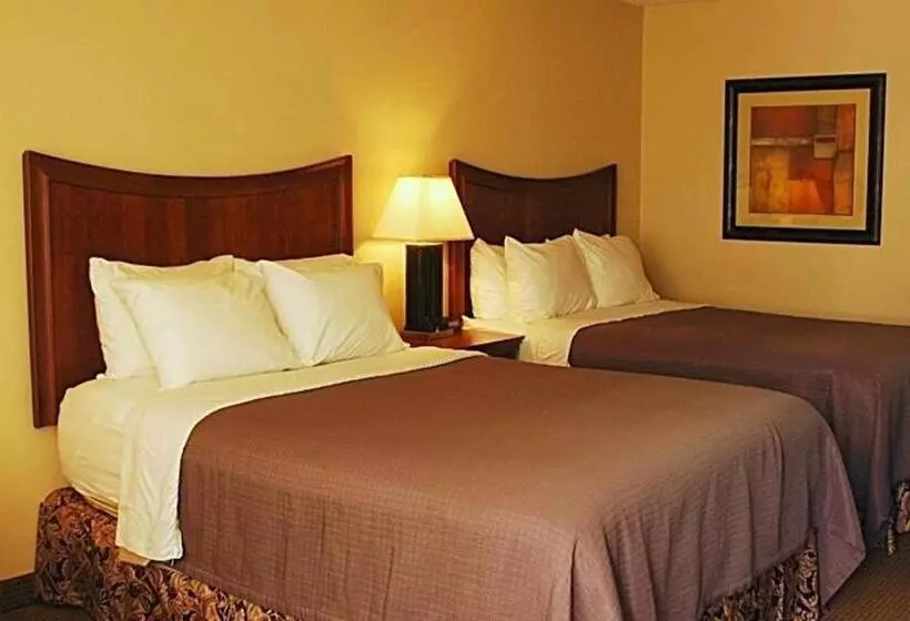 اتاق استاندارد, Trade Winds Central Inn