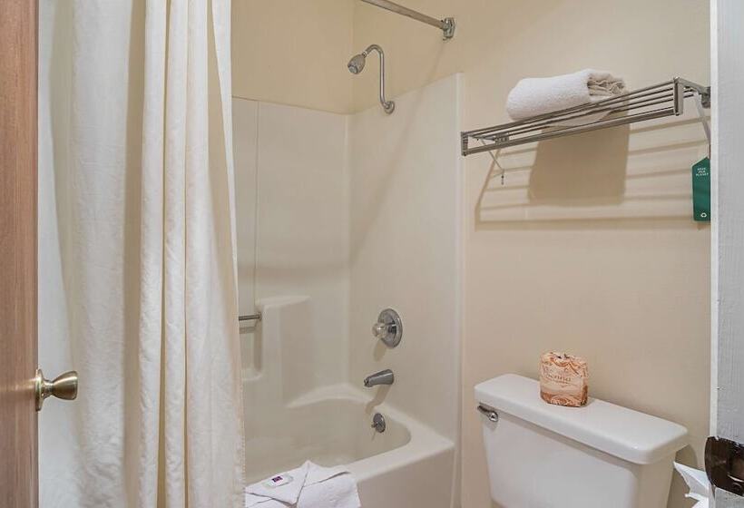 豪华房间, Motel 6safford, Az