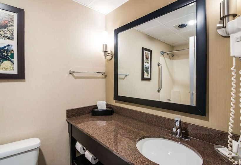 스탠다드 룸 더블 침대 2개, Clarion Pointe Jamestown Falconer