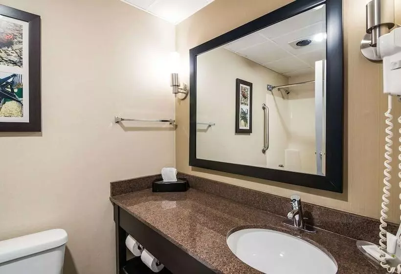 اتاق استاندارد با 2 تخت دوبل, Clarion Pointe Jamestown  Falconer