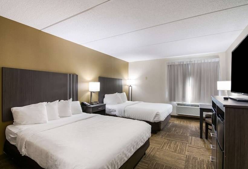 스탠다드 룸 더블 침대 2개, Clarion Pointe Jamestown Falconer