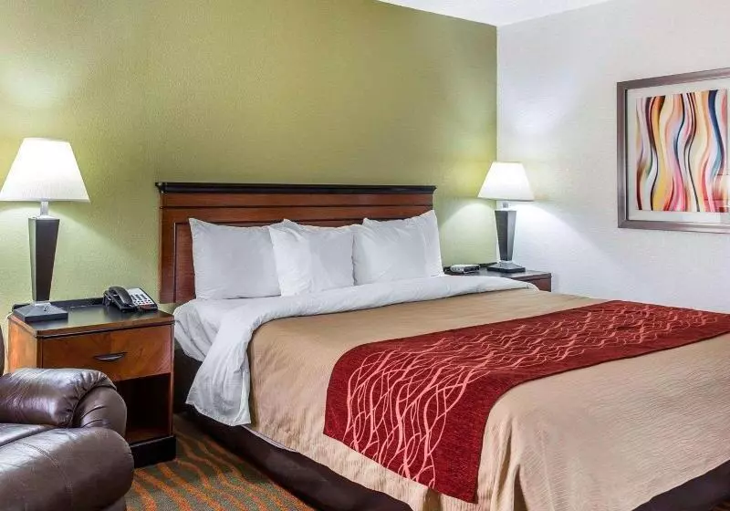 キングサイズベッドのスタンダードルーム, Comfort Inn