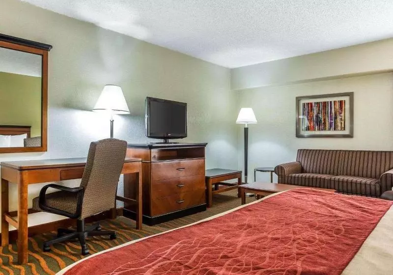 キングサイズベッドのスタンダードルーム, Comfort Inn