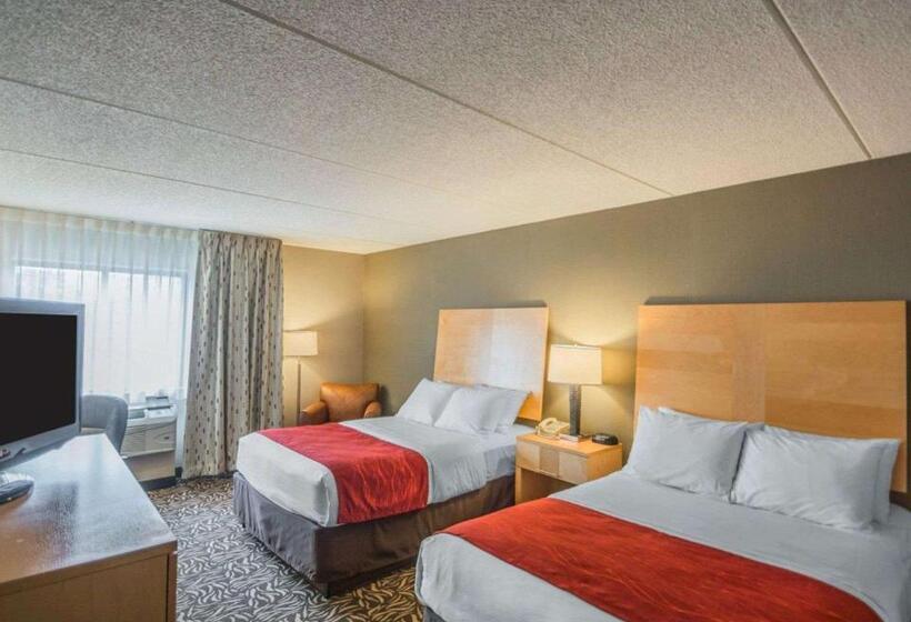 ２ダブルベッドのスタンダードルーム, Comfort Inn   Nys Fairgrounds