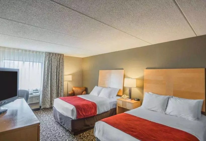اتاق استاندارد با 2 تخت دوبل, Comfort Inn Nys Fairgrounds