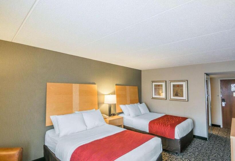 ２ダブルベッドのスタンダードルーム, Comfort Inn   Nys Fairgrounds