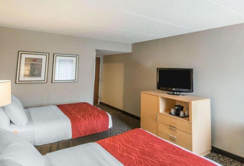 Номер Стандарт 2 Двуспальные Кровати, Comfort Inn   Nys Fairgrounds