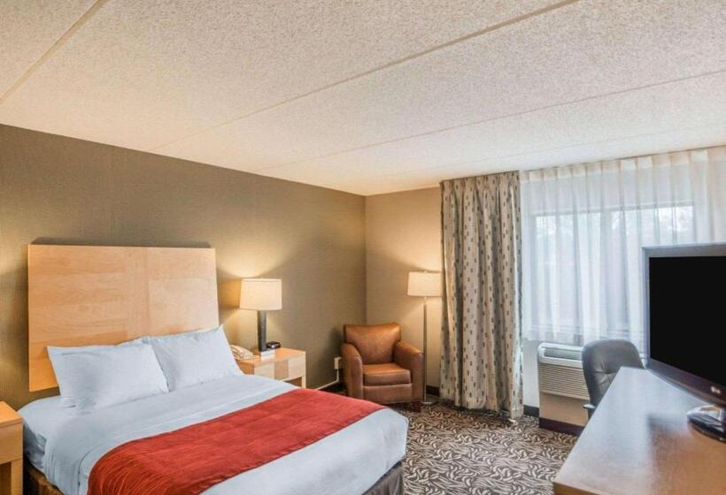 ２ダブルベッドのスタンダードルーム, Comfort Inn   Nys Fairgrounds