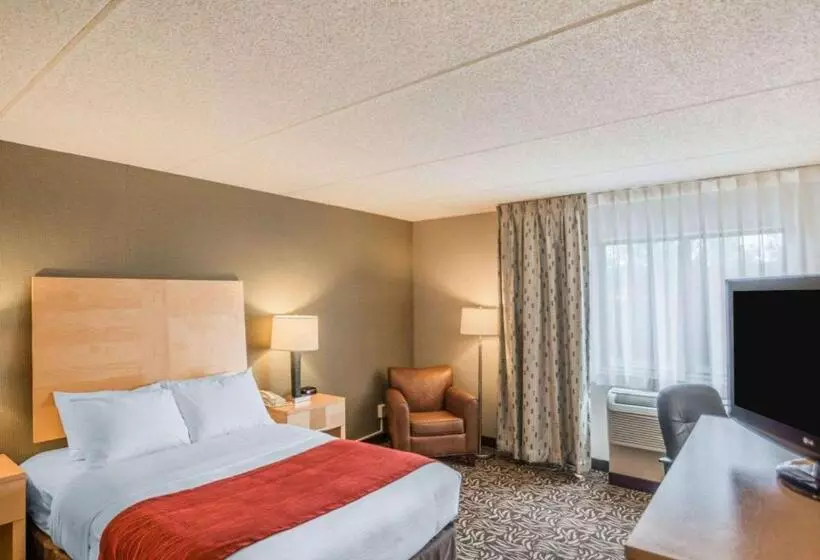 اتاق استاندارد با 2 تخت دوبل, Comfort Inn Nys Fairgrounds