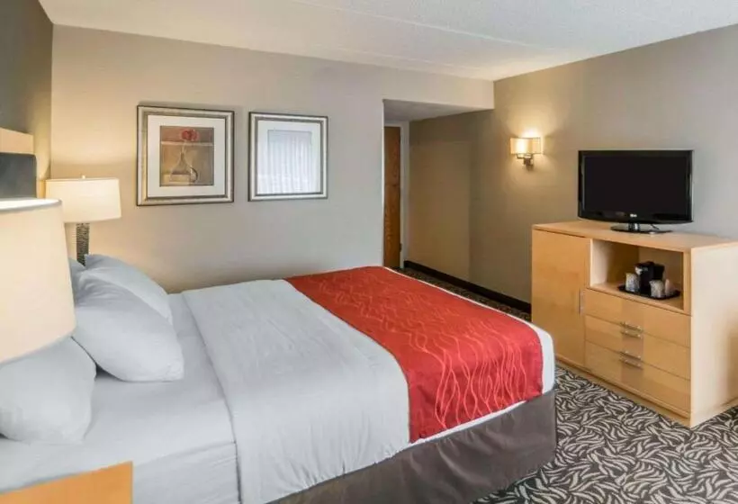 اتاق استاندارد با تخت بزرگ, Comfort Inn Nys Fairgrounds