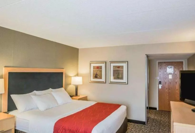 اتاق استاندارد با تخت بزرگ, Comfort Inn Nys Fairgrounds