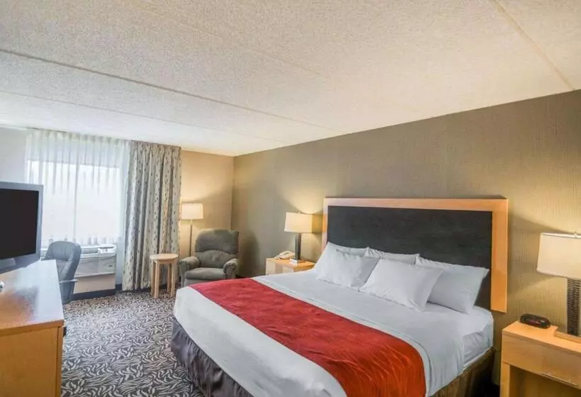 اتاق استاندارد با تخت بزرگ, Comfort Inn Nys Fairgrounds
