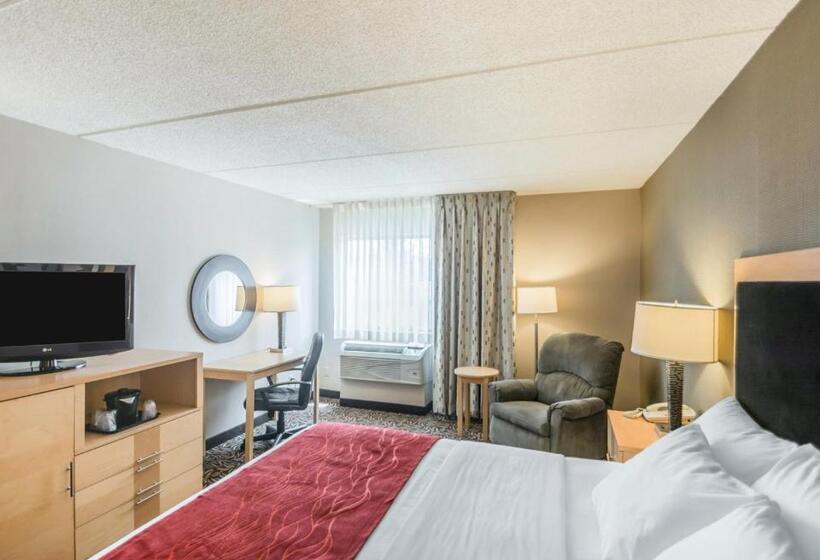 キングサイズベッドのスタンダードルーム, Comfort Inn   Nys Fairgrounds