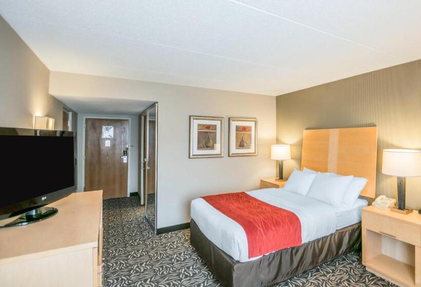 身障者適用スタンダードルーム, Comfort Inn   Nys Fairgrounds